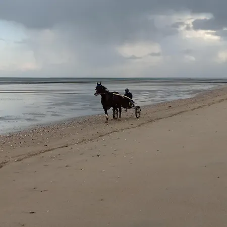 Appartement En Normandie En Front De A , 3km D'arromanches, 10km De Bayeux